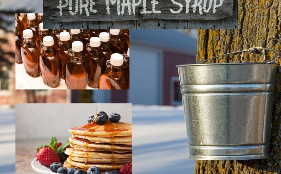 maple syrup