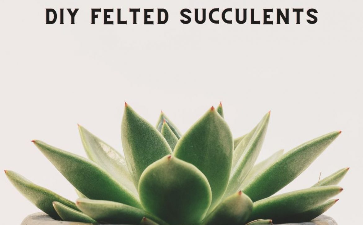 diy felted succulents