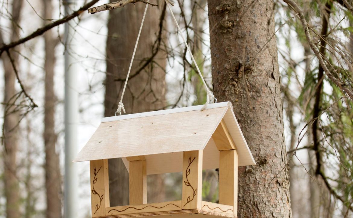 build a bird house