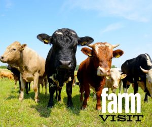 farm visit