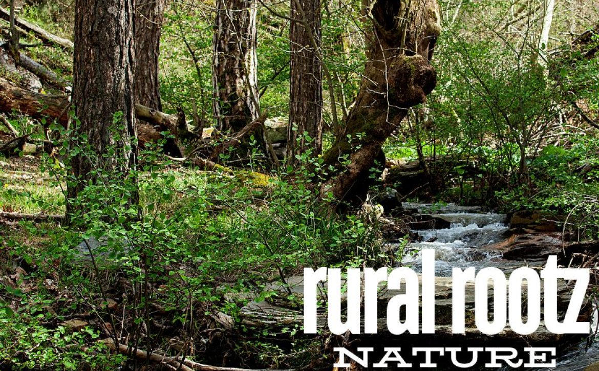 rural rootz
