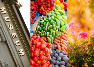 museum market garden